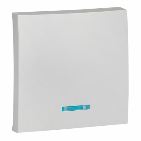 Валенсия лицевая панель выключателя 1-кл. с индикатором 10А сталь EKF PROxima ESV10-L-121-30