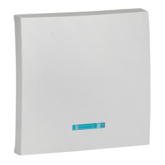 Валенсия лицевая панель выключателя 1-кл. с индикатором 10А сталь EKF PROxima ESV10-L-121-30