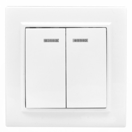 Минск Выключатель 2-клавишный СП с индикатором,10А, белый EKF Basic ERV10-123-10