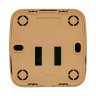 Розетка RJ-45 1-местная ОП Минск, 1А, 120В, светлое дерево EKF EGK01-035-30