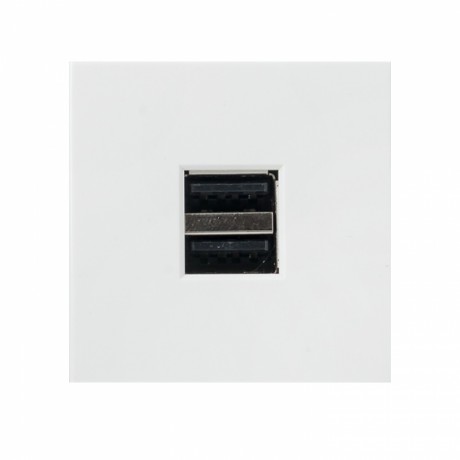 Розетка USB A+A, 2.1А, 2 гнезда, без индикатора EKF E2MR2-20USB-10