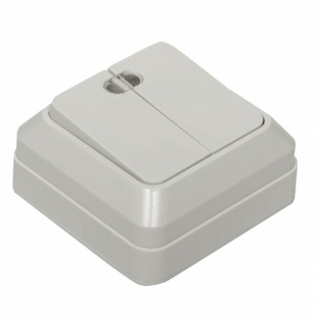 Рим Выключатель 2-клавишный с индикатором 10А белый EKF ENV10-123-10