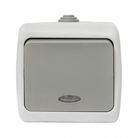 Мурманск Выключатель 1 -клавишный с индикатором 10А IP54 серый EKF EFV10-121-30-54