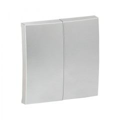 Валенсия лицевая панель выключателя 2-кл. 10А сталь EKF PROxima ESV10-L-023-30